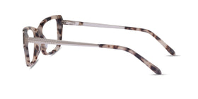 Gilded--Ivory Tortoise Silver