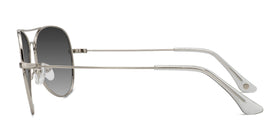 Good Vibrations--Silver