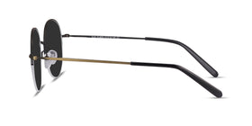 Sun Albee--Black Bronze