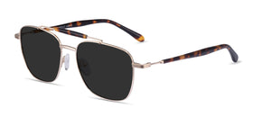 Jackson--Gold Tortoise