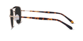 Jackson--Gold Tortoise