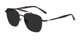 Jackson--Black Tortoise