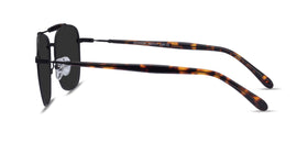 Jackson--Black Tortoise