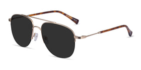 Garros--Gold Tortoise