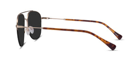 Garros--Gold Tortoise