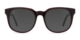 Tempest--Purple Brown