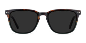 City--Tortoise Green