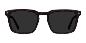 Lagoon--Warm Tortoise & Basalt