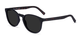 Dune--Basalt & Warm Tortoise