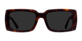 Impression--Tortoise