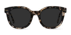 Till Sunset--Tortoise