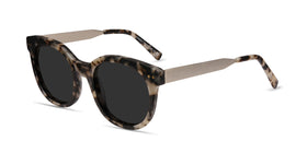 Till Sunset--Tortoise