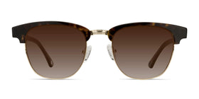 Somebody New--Tortoise