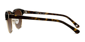 Somebody New--Tortoise