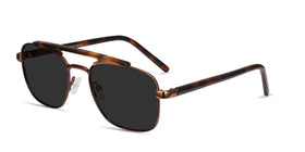 Decode--Tortoise Brown