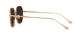 Hinode--Tortoise Gold