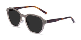 Electro--Matte Silver